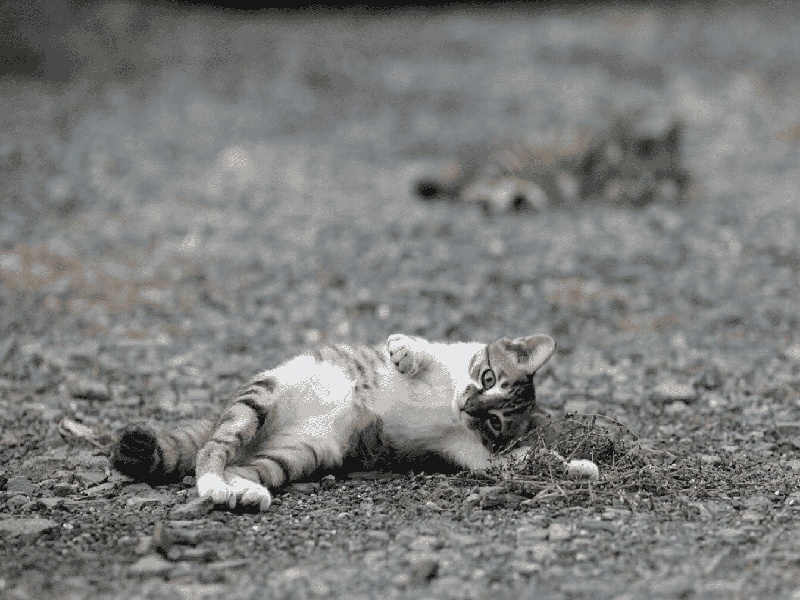 试管代孕医疗环境